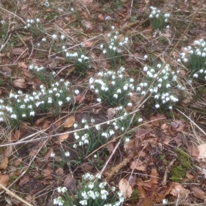 tur arnakke 2 140316